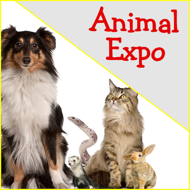 Animal Expo