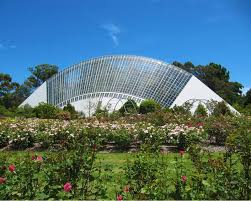 Adelaide Botanic Gardens & Picnic