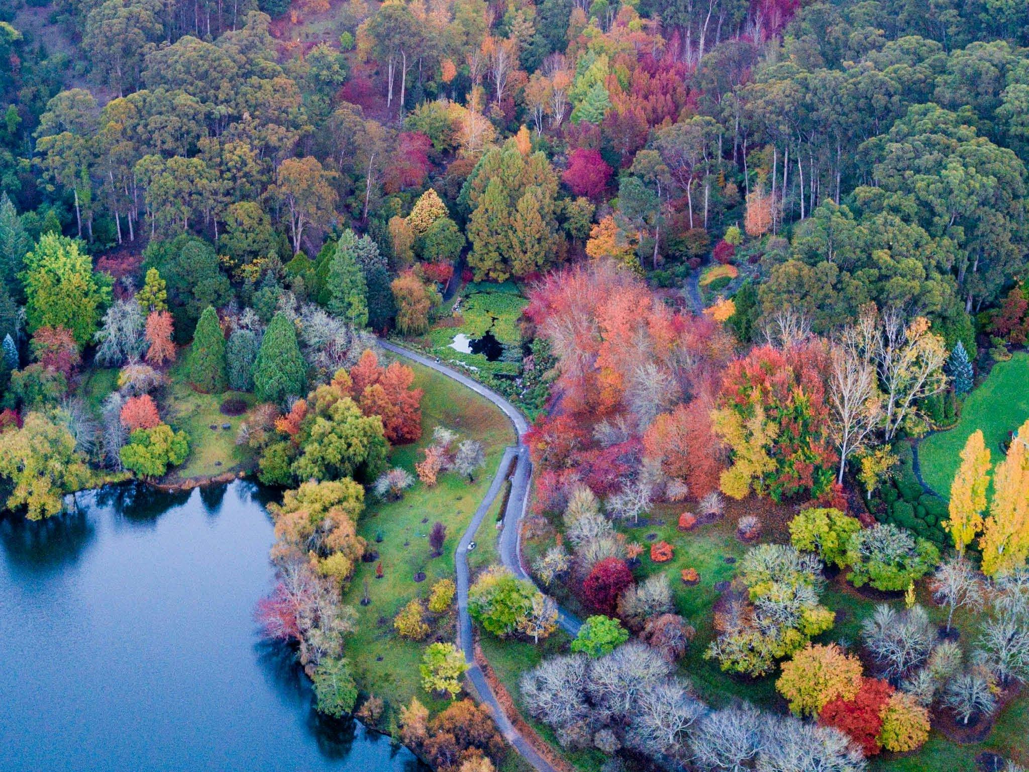 Mount Lofty Botanic Gardens Picnic