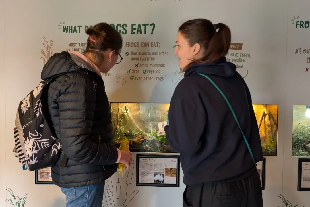 Day Options Mount Barker